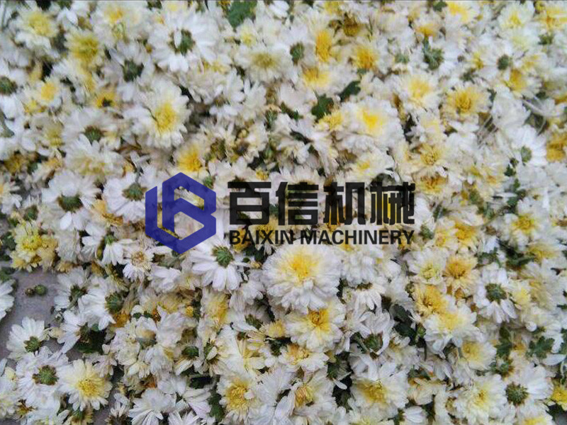 精誠合作共發(fā)展：吉林省香菇菊花烘干機(jī)應(yīng)用領(lǐng)域新篇章